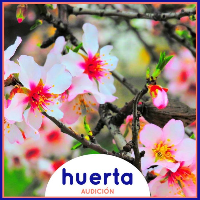 Día del Padre